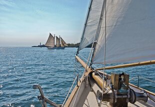 Фотообои Sailing цена и информация | Фотообои с инструментом и клеем - Бежевые листья эвкалипта, 400x280 см | pigu.lt