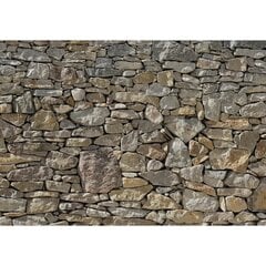 Фотообои Stone Wall цена и информация | Фотообои с инструментом и клеем - Бежевые листья эвкалипта, 400x280 см | pigu.lt