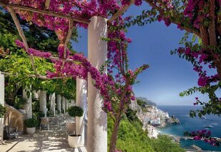 Фотообои Amalfi цена и информация | Фотообои с инструментом и клеем - Бежевые листья эвкалипта, 400x280 см | pigu.lt