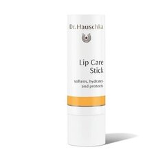 Lūpų balzamas Dr. Hauschka Lip Care Stick, 4.9 g kaina ir informacija | Lūpų dažai, blizgiai, balzamai, vazelinai | pigu.lt