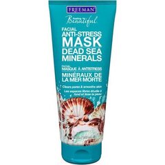 Veido kaukė Freeman Anti Stress Mask Dead Sea Minerals, 150 ml kaina ir informacija | Veido kaukės, paakių kaukės | pigu.lt