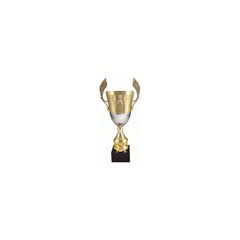 Кубок для награды цена и информация | Другие оригинальные подарки | pigu.lt