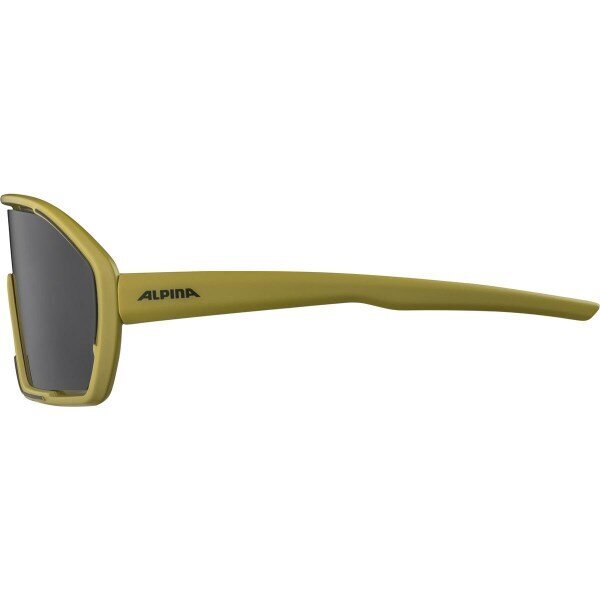 Sportiniai akiniai Alpina Bonfire, tamsiai žali kaina ir informacija | Sportiniai akiniai | pigu.lt