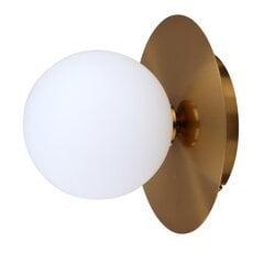 Настенная лампа цена и информация | Настенные светильники | pigu.lt