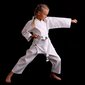 Karate kimono DBX Bushido kaina ir informacija | Kovos menai | pigu.lt