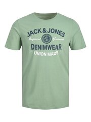 Marškinėliai berniukams Jack & Jones, žali kaina ir informacija | Marškinėliai berniukams | pigu.lt