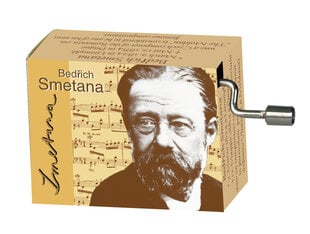 Muzikinė dėžutė Fridolin Bedrich Smetana Die Moldau kaina ir informacija | Lavinamieji žaislai | pigu.lt