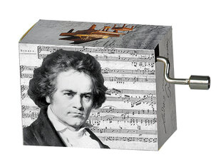 Muzikinė dėžutė Fridolin Beethoven Song of Joy kaina ir informacija | Lavinamieji žaislai | pigu.lt