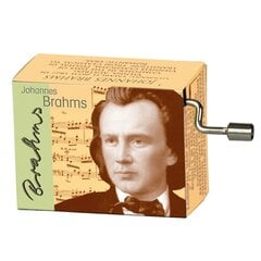 Muzikinė dėžutė Fridolin Brahms Lullaby kaina ir informacija | Lavinamieji žaislai | pigu.lt