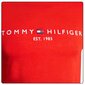 Marškinėliai vyrams Tommy Hilfiger, raudoni kaina ir informacija | Vyriški marškinėliai | pigu.lt