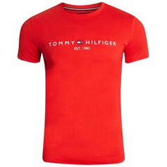 Marškinėliai vyrams Tommy Hilfiger, raudoni kaina ir informacija | Vyriški marškinėliai | pigu.lt