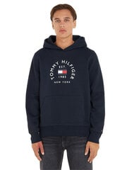 Мужской свитер Tommy Hilfiger, синий цена и информация | Мужские толстовки | pigu.lt