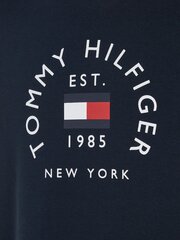 Džemperis vyrams Tommy Hilfiger, mėlynas kaina ir informacija | Džemperiai vyrams | pigu.lt