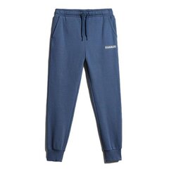 M-box 1 napapijri  for men's blue np0a4gblbs5 NP0A4GBLBS5 цена и информация | Мужская спортивная одежда | pigu.lt