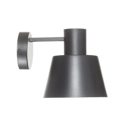 Настенный светильник Dunka цена и информация | Настенные светильники | pigu.lt
