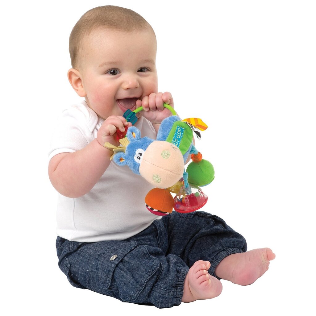 Barškutis Playgro Toy Box, 0101145 цена и информация | Žaislai kūdikiams | pigu.lt