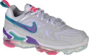 Спортивная обувь Nike Revolution 4 цена и информация | Спортивная обувь, кроссовки для женщин | pigu.lt