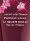 Kūno losjonas Victoria Secret Velvet Petals Luxe, 236 ml kaina ir informacija | Kūno kremai, losjonai | pigu.lt