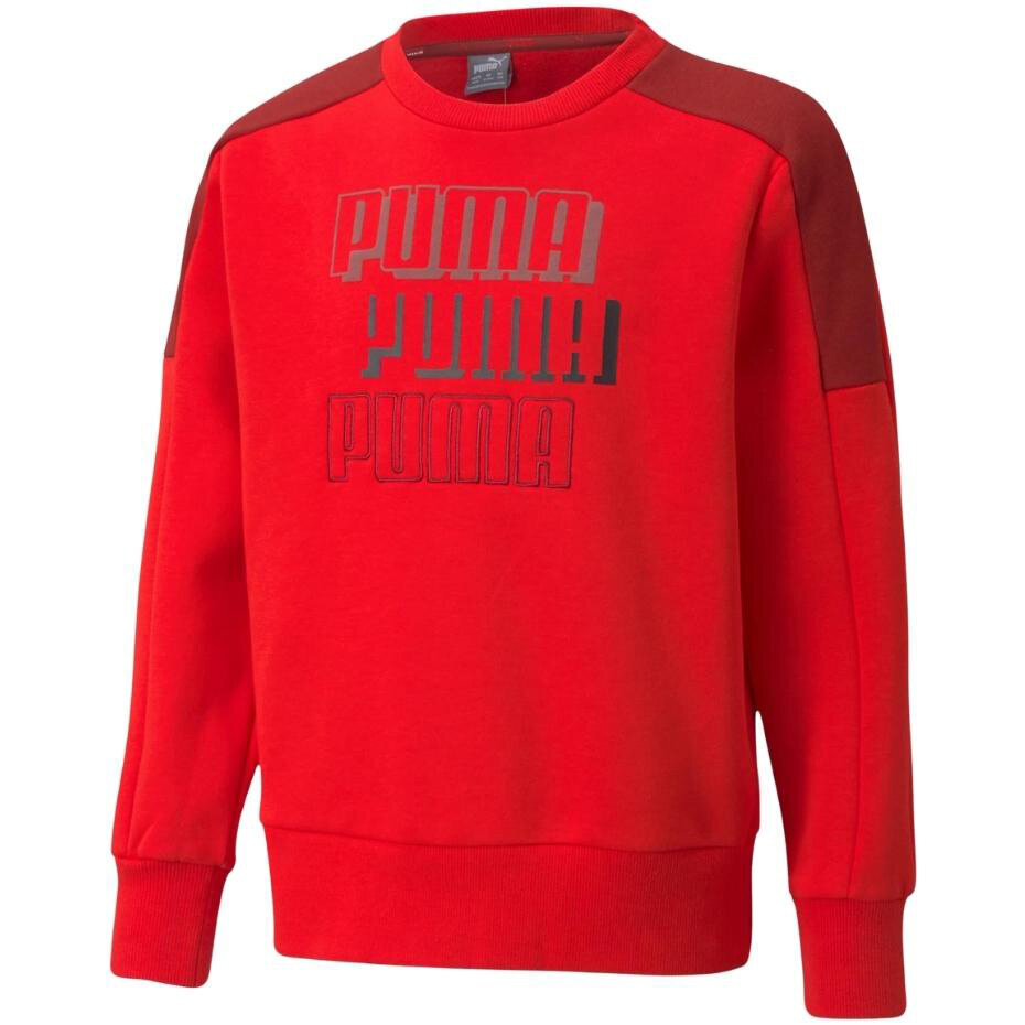 Bliuzonas berniukams Puma Alpha Crew FL 589266 11, raudonas kaina ir informacija | Megztiniai, bluzonai, švarkai berniukams | pigu.lt