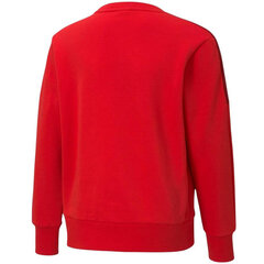 Puma Джемпер Alpha Crew Red цена и информация | Свитеры, жилетки, пиджаки для мальчиков | pigu.lt