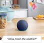 Amazon Echo Dot 5, juoda kaina ir informacija | Garso kolonėlės | pigu.lt