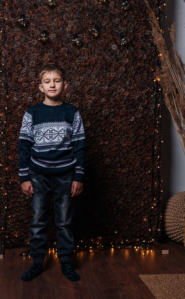 Kalėdinis megztinis vaikams, mėlynas kaina ir informacija | Megztiniai, bluzonai, švarkai berniukams | pigu.lt