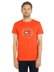Marškinėliai vyrams Tommy Hilfiger, oranžiniai kaina ir informacija | Vyriški marškinėliai | pigu.lt