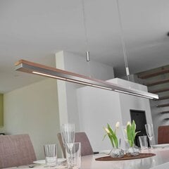 Подвесной светильник Rothfels LED Elna, никель, 118 см цена и информация | Люстры | pigu.lt