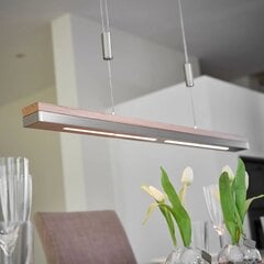 Подвесной светильник Rothfels LED Elna, никель, 118 см цена и информация | Люстры | pigu.lt