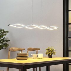 Линейный подвесной светильник Roan LED, волнистый цена и информация | Подвесной светильник | pigu.lt