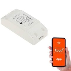 Умный тумблер ATLO-B1-TUYA Wi-Fi, Tuya Smart цена и информация | Выключатели, розетки | pigu.lt