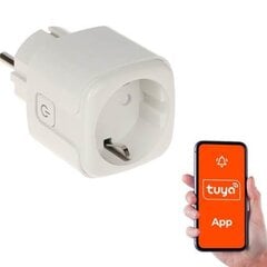 GENWAY УМНЫЙ ДОМ WIFI УМНАЯ РОЗЕТКА/ATLO-P1-TUYA GENWAY цена и информация | Выключатели, розетки | pigu.lt