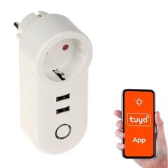 SMART HOME WIFI SMART SOCKET|USB ATLO-P1U2-TUYA GENWAY цена и информация | Выключатели, розетки | pigu.lt