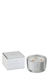 Parfumuota sojų vaško žvakė J-line Excellent Cotton Candy Silver, 500 g kaina ir informacija | Žvakės, Žvakidės | pigu.lt