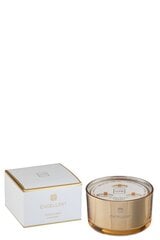 Parfumuota sojų vaško žvakė J-line Excellent Golden Honey , 500 g kaina ir informacija | Žvakės, Žvakidės | pigu.lt