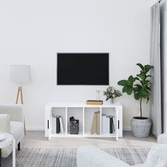 Televizoriaus spintelė, Apdirbta mediena, 100x35x40cm, balta blizgi spalva kaina ir informacija | TV staliukai | pigu.lt