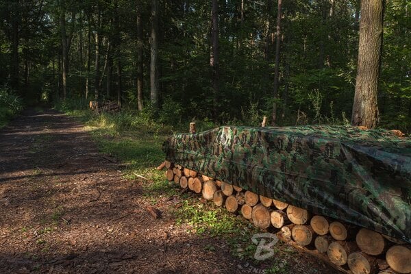 Kamufliažinis lauko tentas Bradas CAMOforest 6x8 m, 90 g/m² kaina ir informacija | Sodo įrankiai | pigu.lt