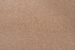 Rugsx ковровая дорожка Eton 172, 80x330 см цена и информация | Ковры | pigu.lt