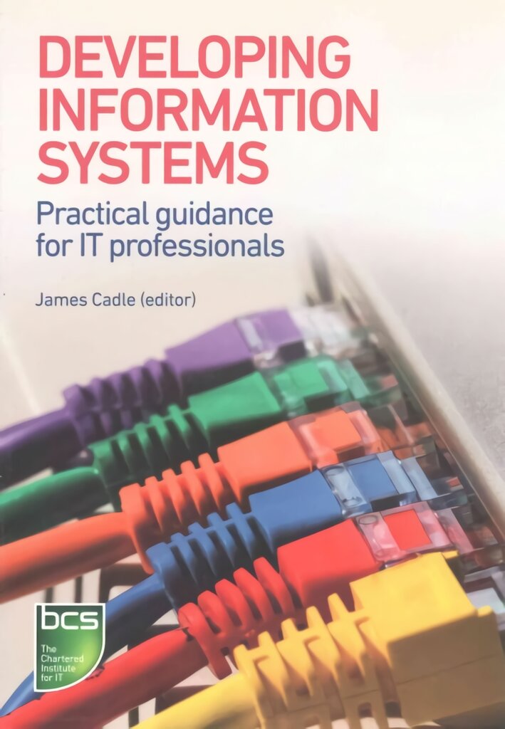 Developing Information Systems: Practical guidance for IT professionals kaina ir informacija | Ekonomikos knygos | pigu.lt