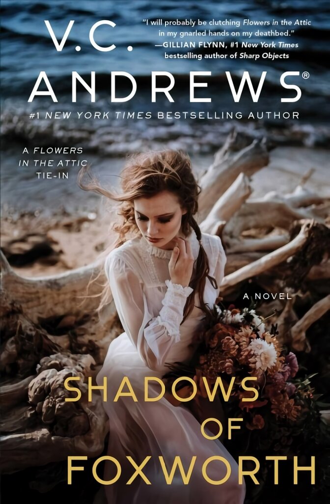 Shadows of Foxworth kaina ir informacija | Fantastinės, mistinės knygos | pigu.lt