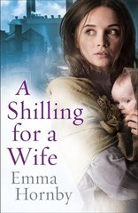 Shilling for a Wife цена и информация | Fantastinės, mistinės knygos | pigu.lt