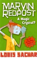 Magic Crystal?: Book 8 - Rejacketed цена и информация | Книги для подростков и молодежи | pigu.lt