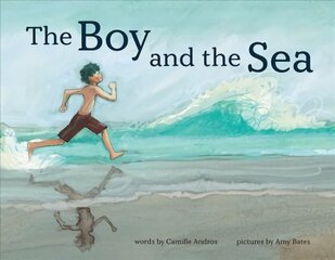 Boy and the Sea kaina ir informacija | Knygos mažiesiems | pigu.lt