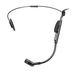 Audio Technica ATM73 (cH) цена и информация | Микрофоны | pigu.lt