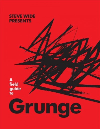 Field Guide to Grunge цена и информация | Knygos apie meną | pigu.lt