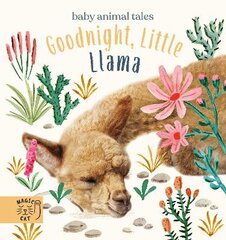 Goodnight, Little Llama: A book about being a good friend цена и информация | Книги для подростков и молодежи | pigu.lt