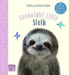 Goodnight, Little Sloth: Simple stories sure to soothe your little one to sleep kaina ir informacija | Knygos paaugliams ir jaunimui | pigu.lt