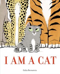 I Am a Cat цена и информация | Книги для малышей | pigu.lt