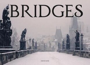 Bridges kaina ir informacija | Fotografijos knygos | pigu.lt
