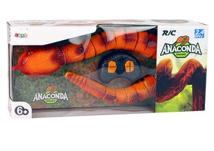 Nuotoliniu pulteliu valdoma gyvatė Lean Toys Anaconda, oranžinė kaina ir informacija | Žaislai berniukams | pigu.lt